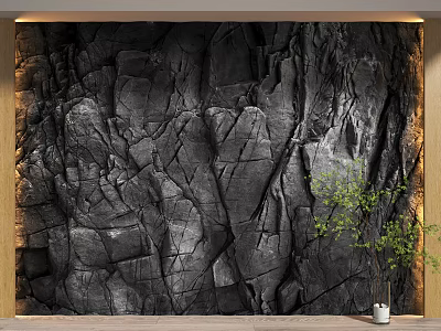 Black Rock Texture Background Wall With Green Plant In Interior Design 3d model