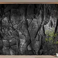 Black Rock Texture Background Wall With Green Plant In Interior Design 3d model