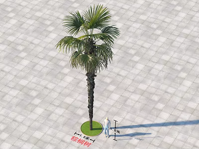 Tall Palm Tree In Square Tiled Plaza With Green Lawn And Person Standing Nearby 3d model