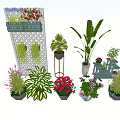 Diverse Potted Bonsai Plants With Wall Hanging Baskets And Metal Stand Planters
