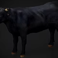 Black Bull With Curved Horns Standing In Full Body View On Dark Background