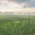 Lush Green Grassland With Dandelion Seeds Drifting Over Mountainous Landscape Sky