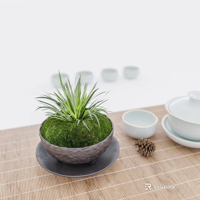 Moss Covered Bonsai Potted Plant in Gray Pot with White Teacups Pine Cone Bamboo Mat 3d model 