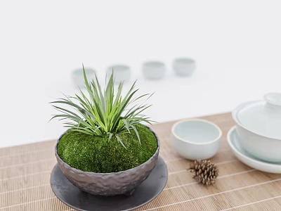 Moss Covered Bonsai Potted Plant in Gray Pot with White Teacups Pine Cone Bamboo Mat 3d model