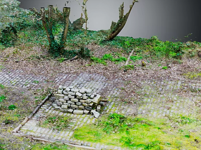Natural Outdoor Landscape With Wooden Trees And Stone Block Structure On Brick Pavement 3d model