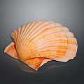 Beautiful Orange And White Mollusk Shell With Intricate Patterns On Dark Surface 3d model