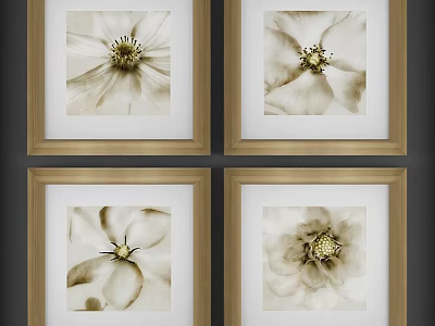 Neutral Toned Botanical Paintings in Wooden Frames with Floral Close Up Designs 3d model