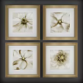 Neutral Toned Botanical Paintings in Wooden Frames with Floral Close Up Designs