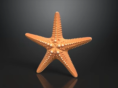 Orange Starfish With Five Arms And Small Protrusions On Dark Background With Reflection 3d model