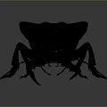 Shiny Metallic Beetle Model With Detailed Legs And Antenna On Gray Background