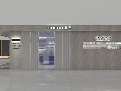 Modern Clothing Store Front Entrance With Glass Door And Gray Wall 3d model