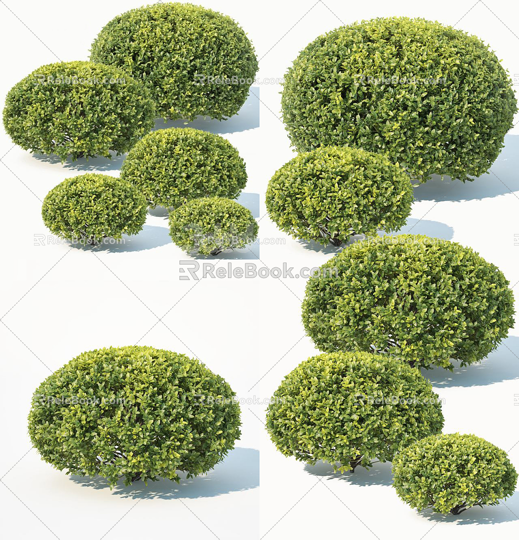 Modern shrub hedge 3d model