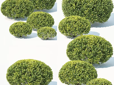 Lush Green Round Bushes In Different Sizes For Garden Landscape Design And Decor 3d model