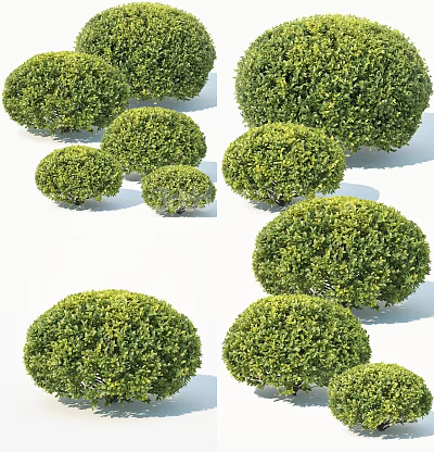 Lush Green Round Bushes In Different Sizes For Garden Landscape Design And Decor 3d model Lush Green Round Bushes In Different Sizes For Garden Landscape Design And Decor 3d model