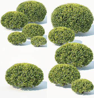 Modern shrub hedge 3d model