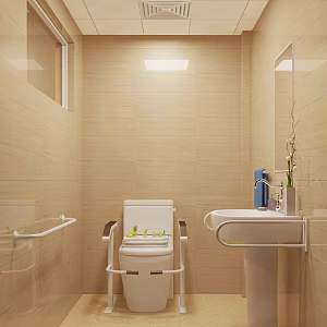 Modern Toilet Nursing Home Toilet 3d model