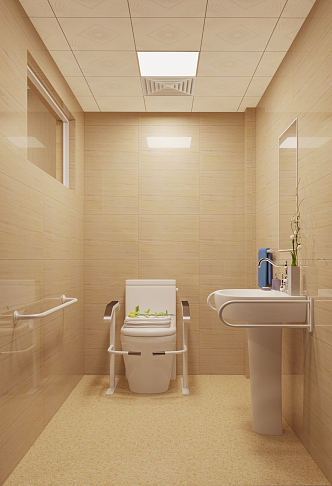 Modern Toilet Nursing Home Toilet 3d model