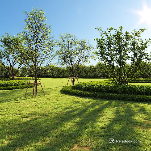 Arbor Trees With Support Frames On Green Lawn Neatly Trimmed Hedges And Blue Sky Shadows 3d model 
