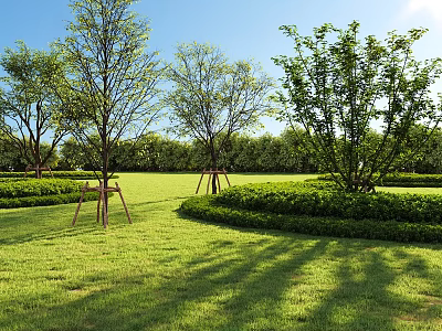 Arbor Trees With Support Frames On Green Lawn Neatly Trimmed Hedges And Blue Sky Shadows 3d model