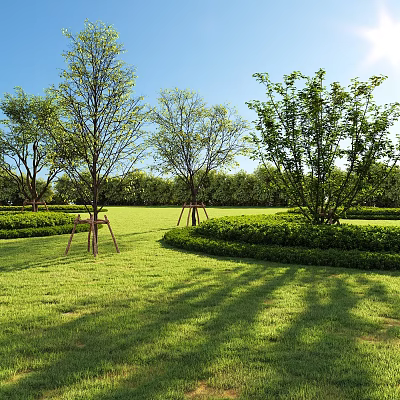 Arbor Trees With Support Frames On Green Lawn Neatly Trimmed Hedges And Blue Sky Shadows 3d model