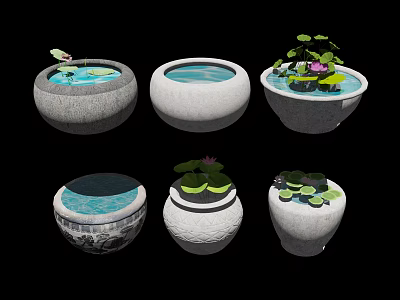 Courtyard Garden Decorative Water Basins Featuring Lotus Lily Pads And Stones 3d model