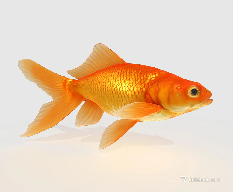 Golden Freshwater Goldfish With Shiny Scales Vibrant Orange Fins And Bright Eyes 3d model