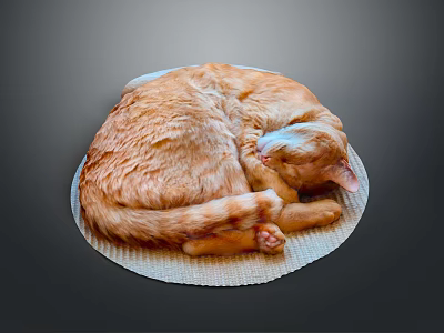 Cute Orange Cat Curled Up Sleeping On Woven Mat Against Dark Background 3d model