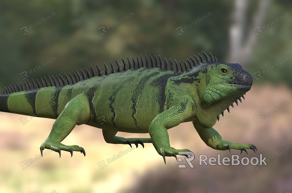 Green iguana American iguana American green iguana lizard animal model