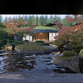 Tranquil Courtyard Garden Design With Pond Rocks Autumn Trees And Lush Greenery