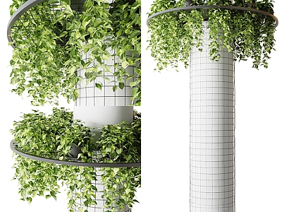 Modern Pillar Green Plant model