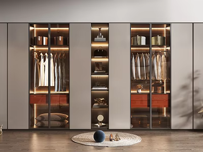 Modern Wardrobe Interior Design With Glass Doors Hanging Clothes Lighting And Storage Shelves 3d model