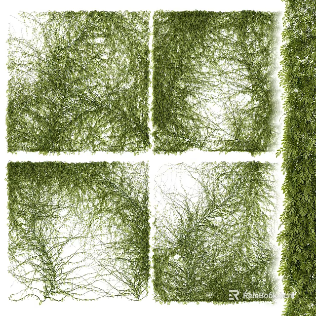 Lush Green Vine Plants With Various Forms On White Background Showcase 3d model 