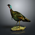 Turkey Taxidermy Mount With Green Brown Feathers On Stone Base Against Gray Background