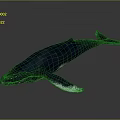 Realistic Deep Blue Whale In Swimming Pose On Gray Background 3d model