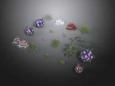 Various Types Of Decorative Household Plants And Colorful Flowers For Home Decoration 3d model