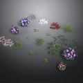 Various Types Of Decorative Household Plants And Colorful Flowers For Home Decoration