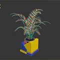 Lush Green Indoor Fern Plant In Modern Geometric Colorful Cubic Planter