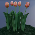 Pink and Yellow Gradient Tulips with Green Leaves Growing on Green Grass against Blue Background