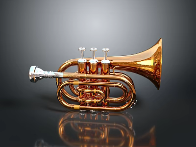 Glossy Golden Trumpet With Silver Valves As Home Decoration Piece 3d model