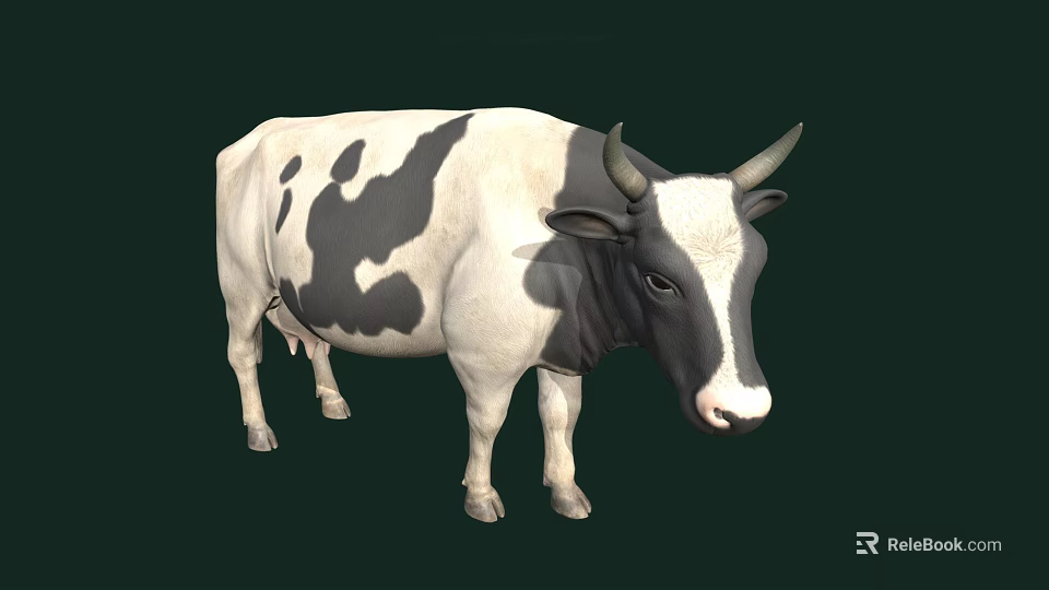 Black And White Spotted Cow With Horns Standing On Dark Green Background 3d model 
