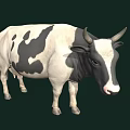 Black And White Spotted Cow With Horns Standing On Dark Green Background