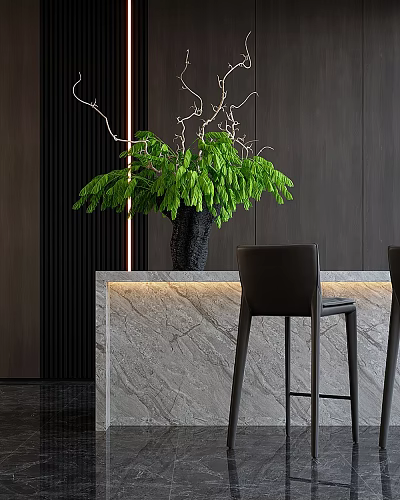 Green Leafy Plant in Modern Black Vase on Marble Countertop with Dark Chairs 3d model
