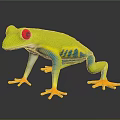Vibrant Green Frog with Red Eyes Blue Stripes and Yellow Toes on Black Background