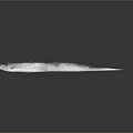 Silver Long Fish With Pointed Head On Dark Reflective Surface 3d model
