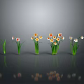 Butterflies On White And Orange Flowers With Green Stems And Reflections