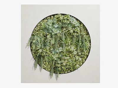 Round Shaped Living Plant Wall with Various Greenery for Indoor Decorative Design 3d model