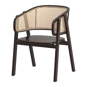 Nordic Simple Rattan Casual Chair 3d model