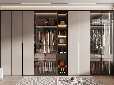 Modern Wardrobe Interior Design With Glass Doors Hanging Clothes And Storage Bags 3d model