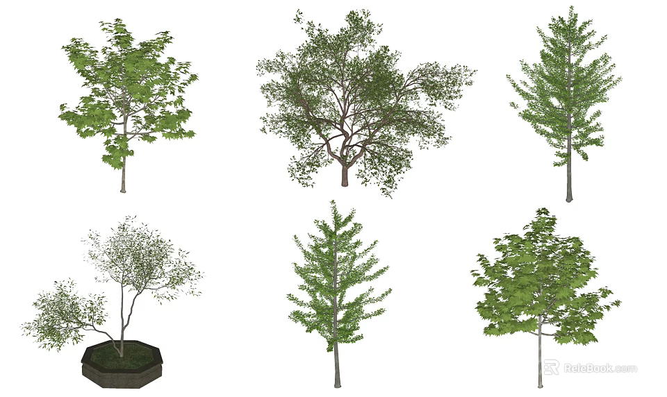 Various Arbor Species With Different Leaf Shapes And Landscape Design Features 3d model