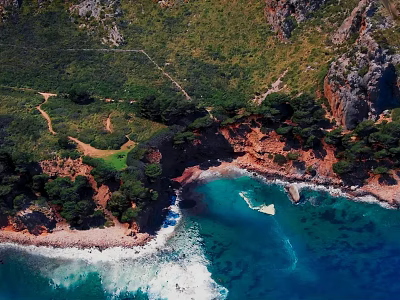 Coastal Garden Landscape With Green Trees Winding Pathway White Sandy Beach And Turquoise Water 3d model